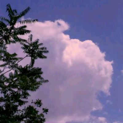梦幻之翼进阶版手游(暂未上线)v1.0 安卓版